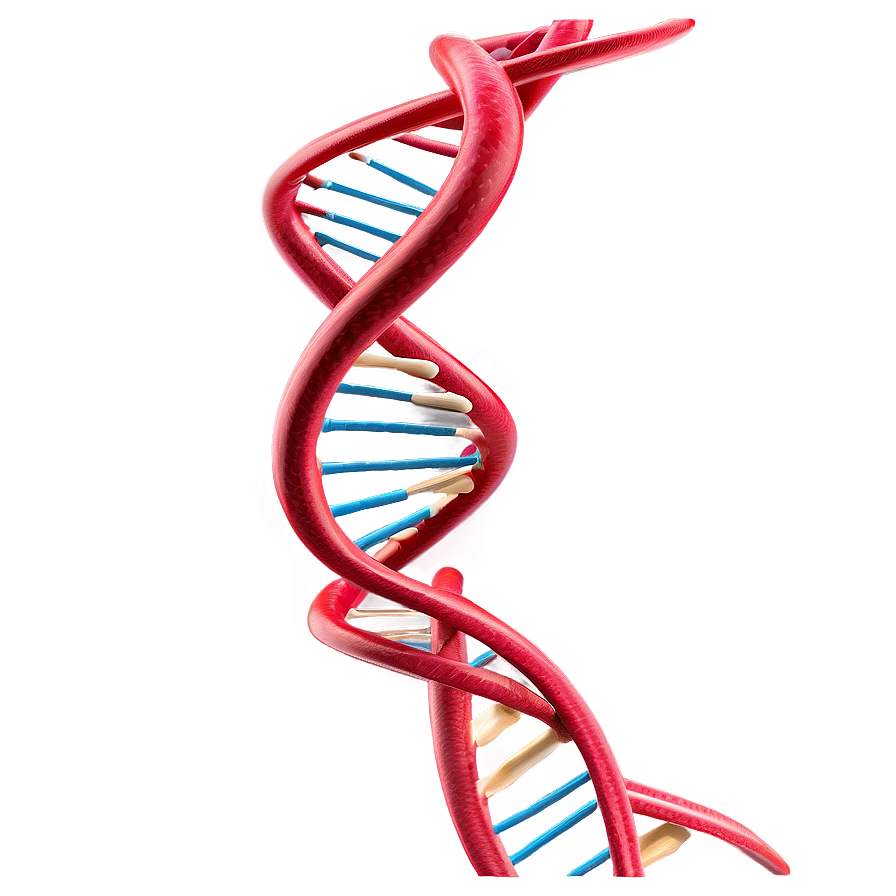 Dna Helix Model Png Kbe9