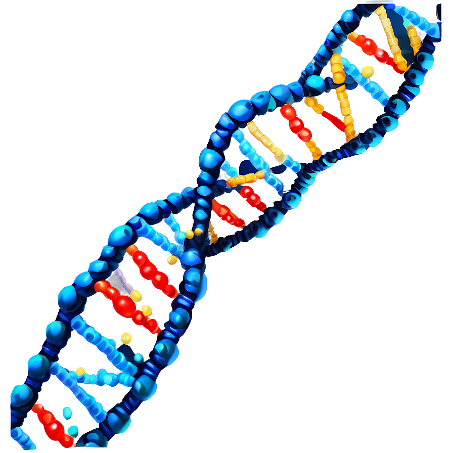 Dna Replication Process Png 72