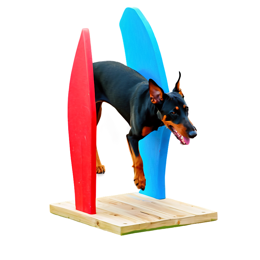 Doberman Agility Png 06252024