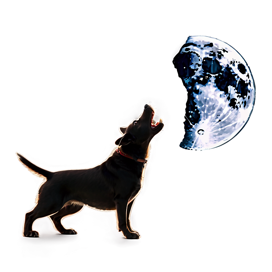 Dog Barking At Moon Png 06272024