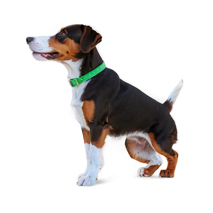 Dog Cartoon Transparent Background Png Jex22