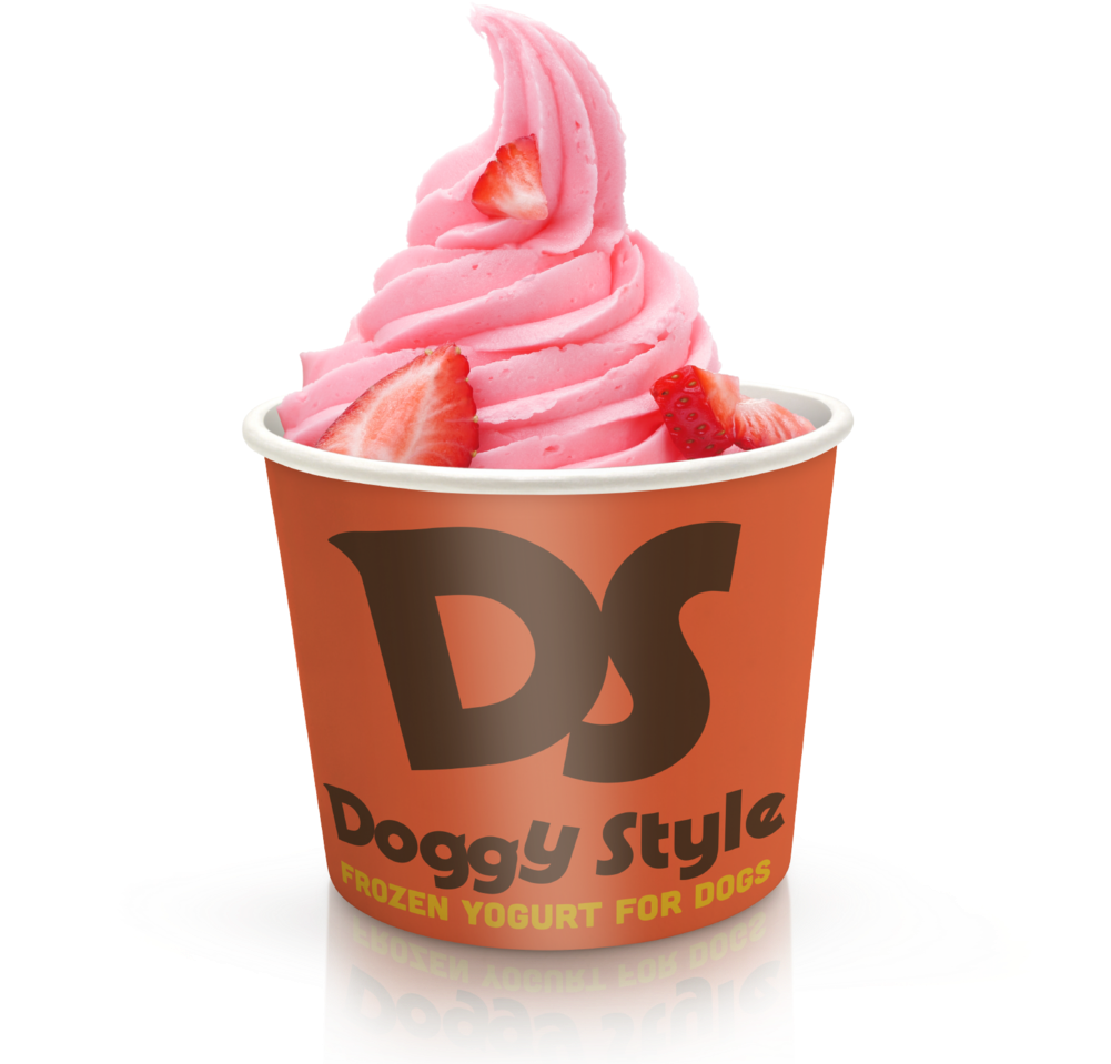 Dog Friendly Frozen Yogurt