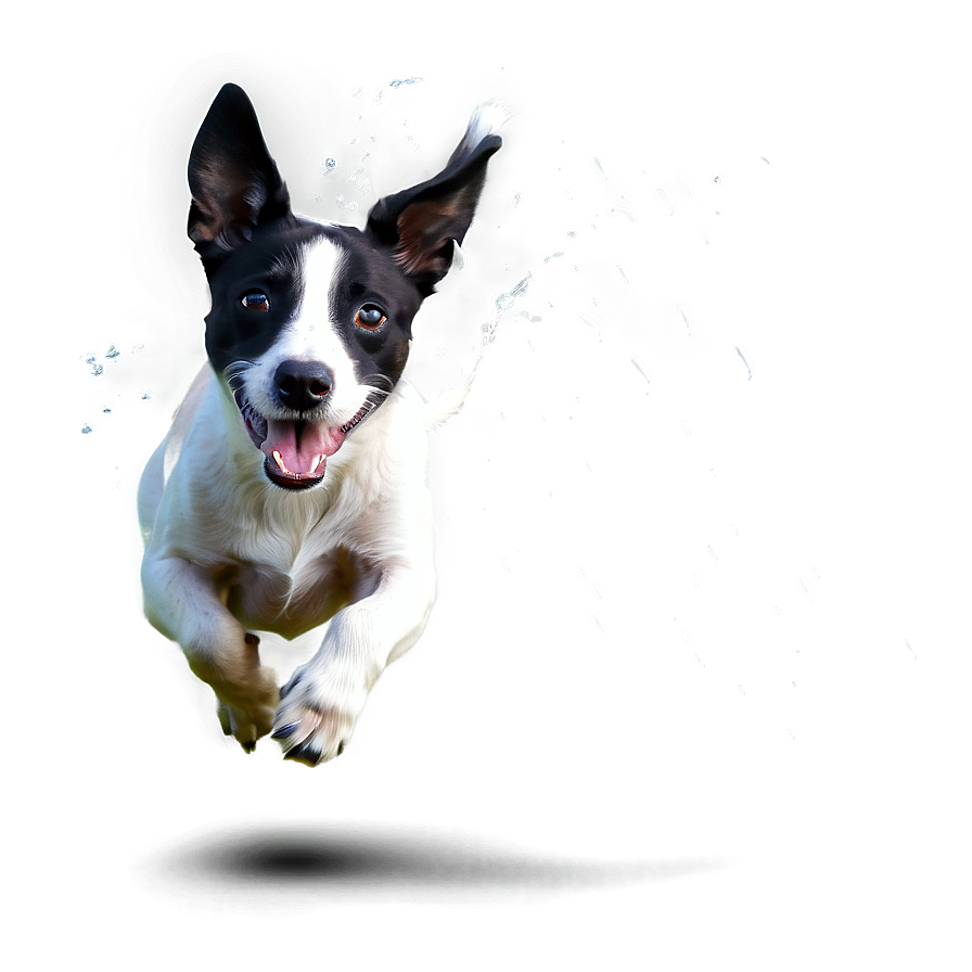 Dog Running In Water Png 06132024