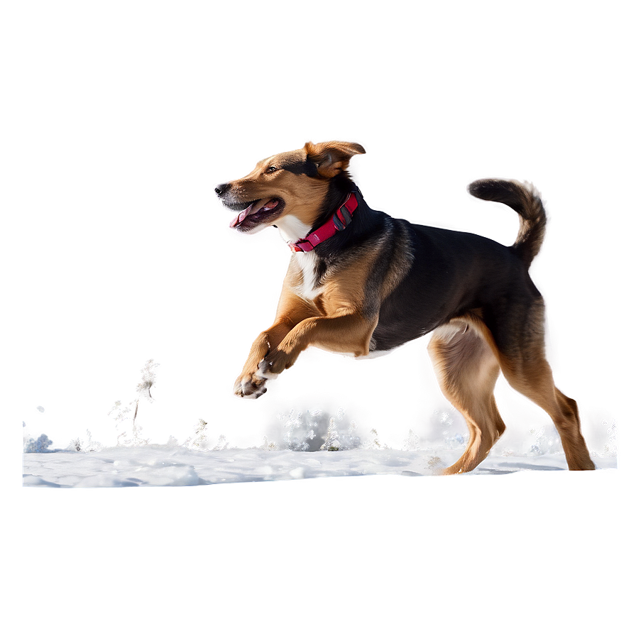 Dog Running In Winter Png Gyi89