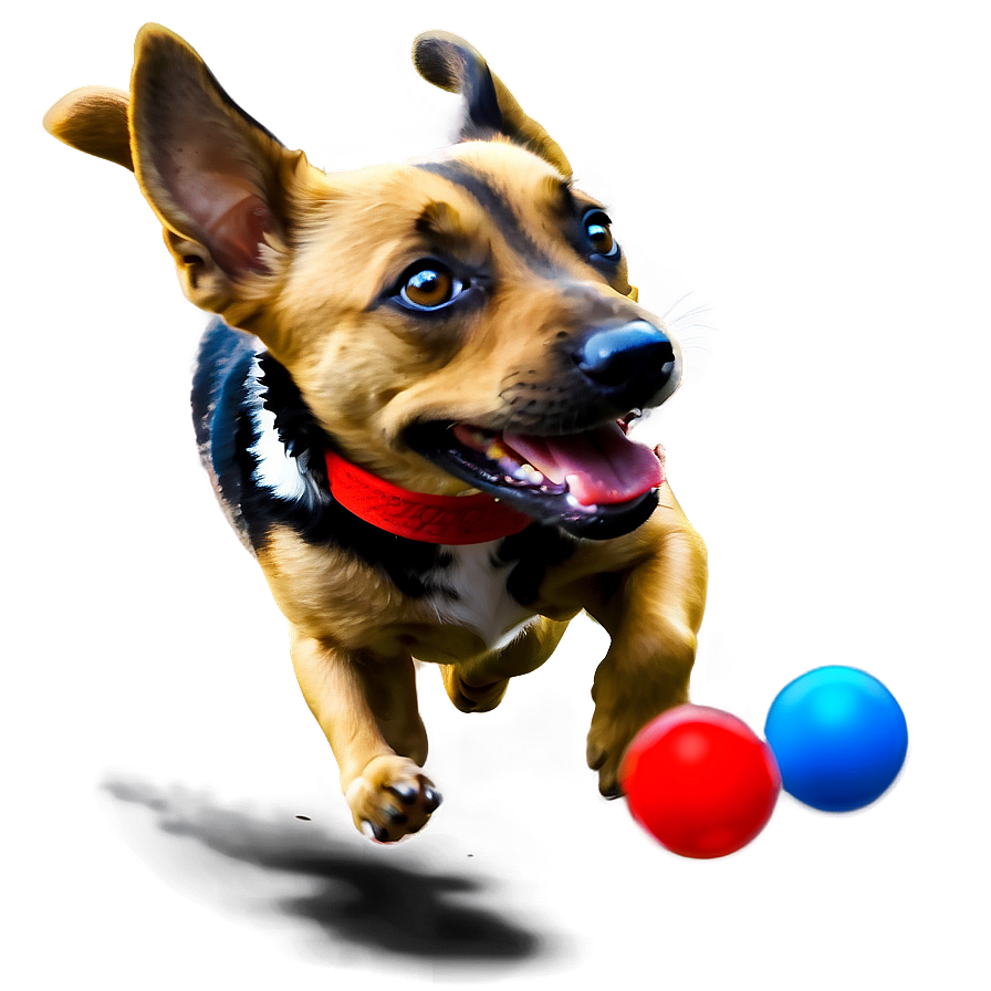 Dog Running With Toy Png Dmt88