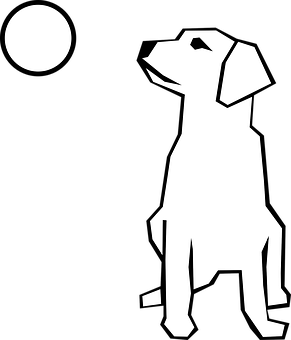 Dog Silhouette Gazingat Moon