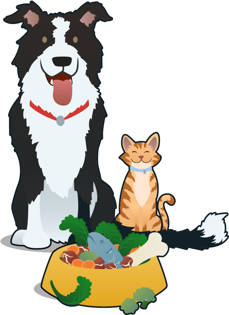 Dogand Cat Friends With Food Bowl