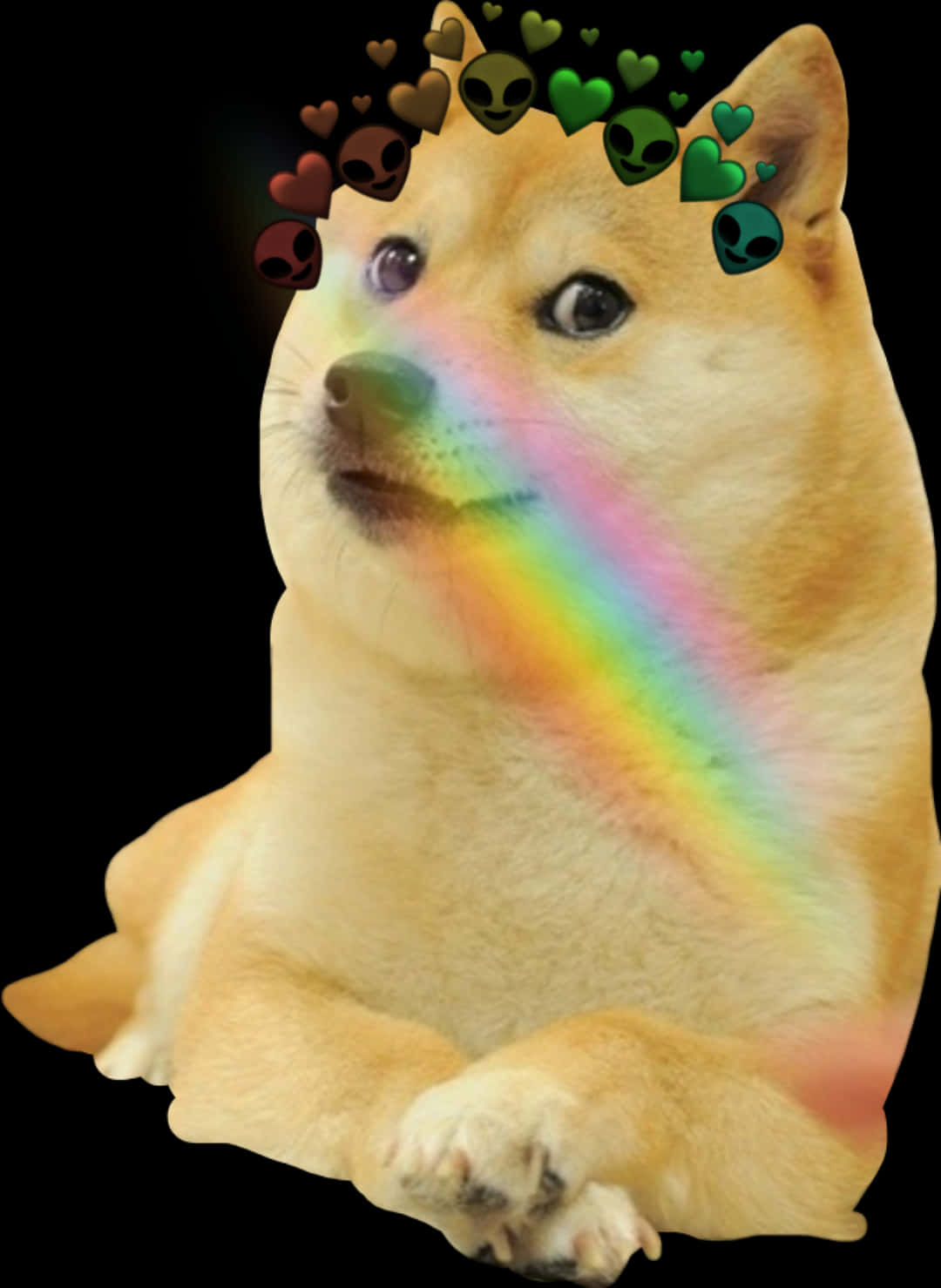 Doge_ Rainbow_ Meme.jpg