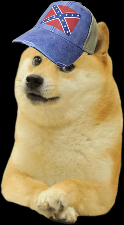 Doge_with_ Confederate_ Cap