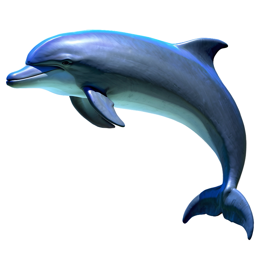 Dolphin Drawing Png 9