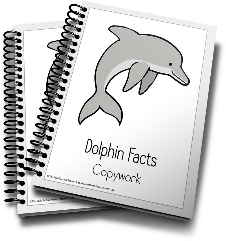 Dolphin Facts Copywork Notebooks