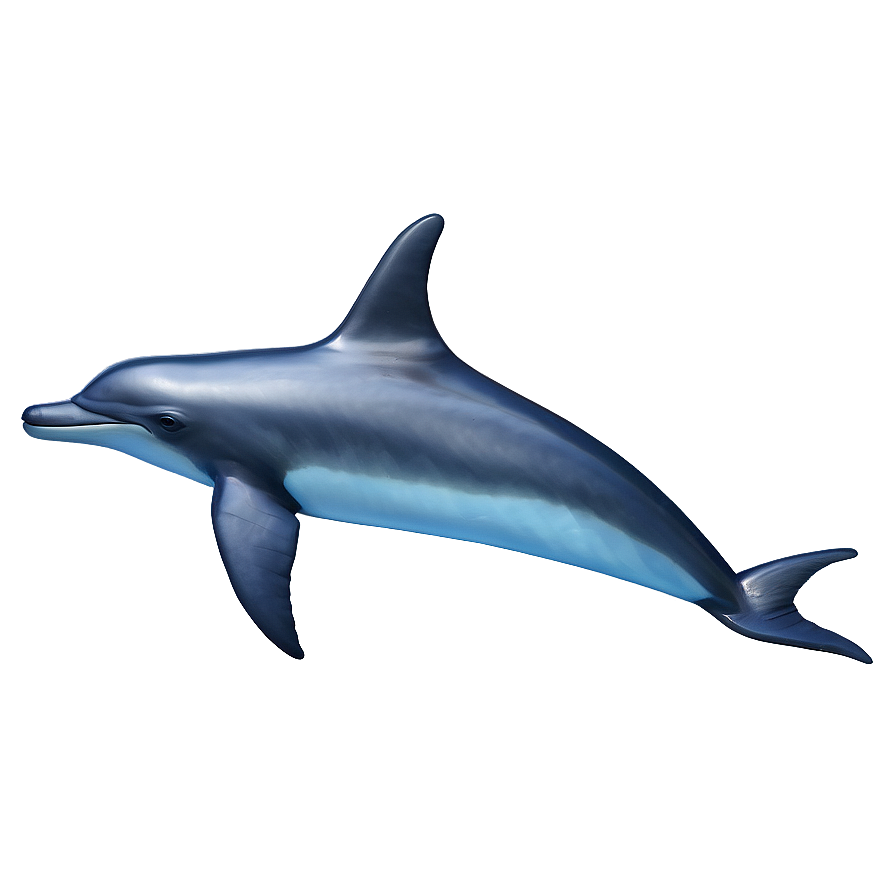 Dolphin Fin Png Gwv19