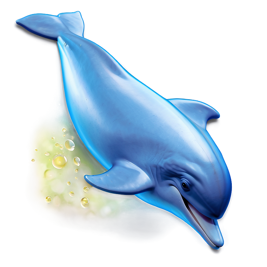 Dolphin Graphic Png Jbn