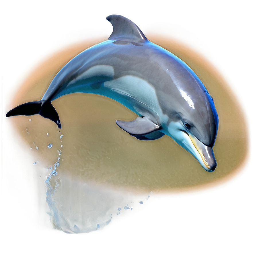 Dolphin Jump Png 62