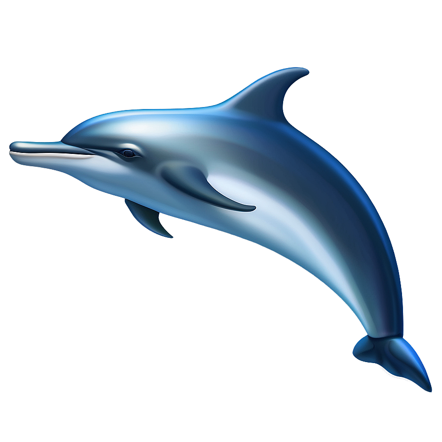 Dolphin Logo Png 41