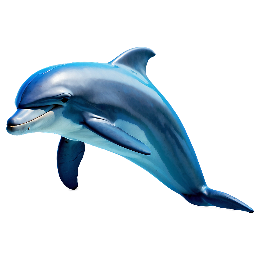 Dolphin Vector Png 91