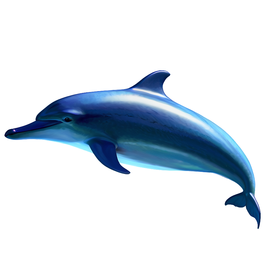 Dolphins And Fish Png Sic