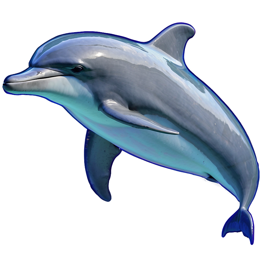 Dolphins Harmony Png Bgx