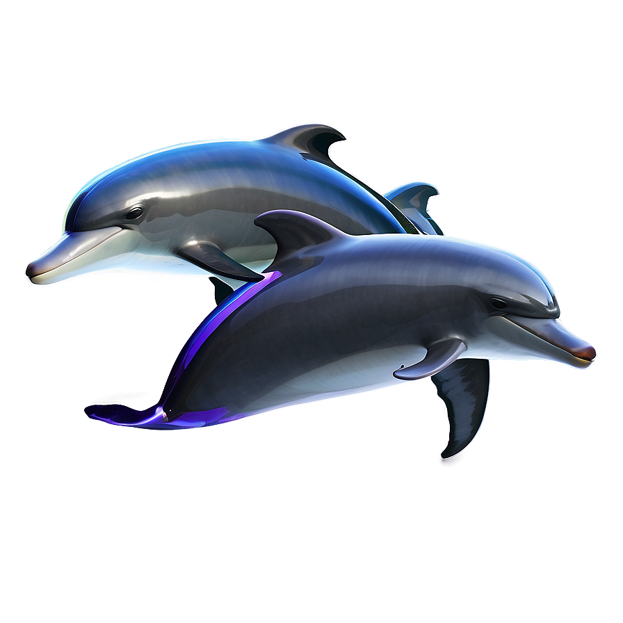 Dolphins Harmony Png Nmh93