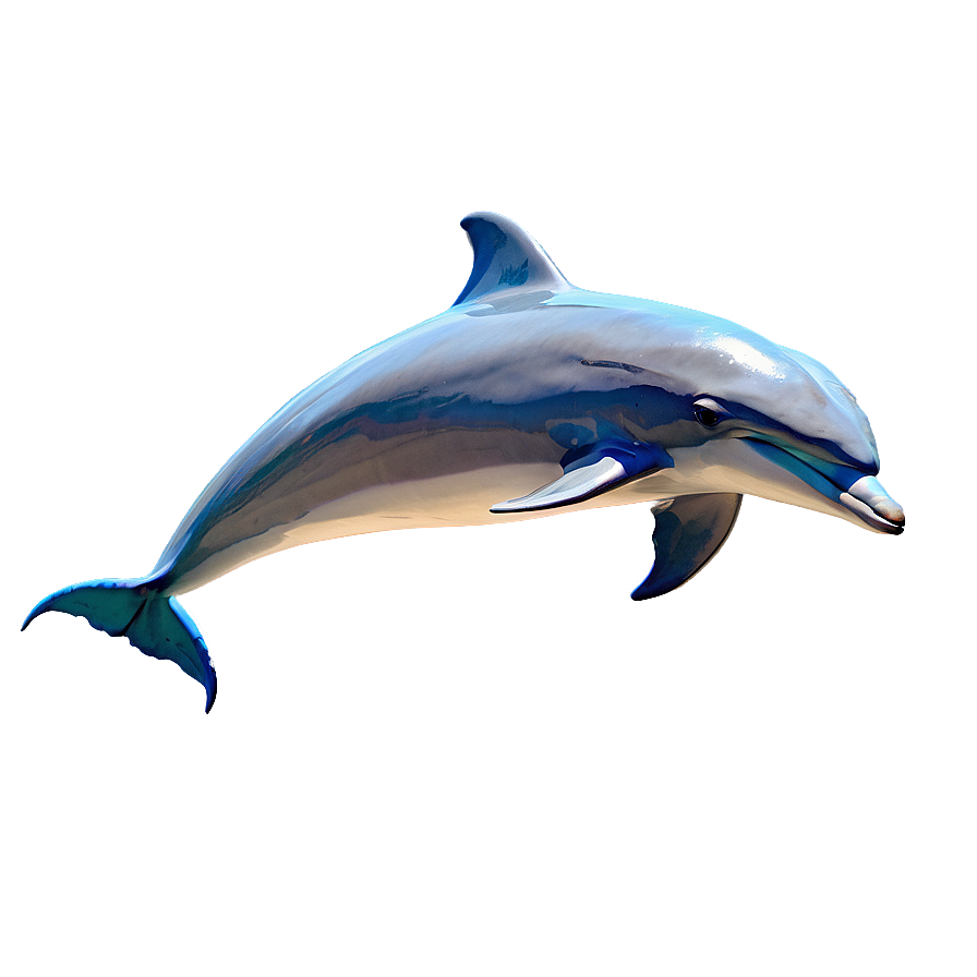 Dolphins In The Sun Png Evg42