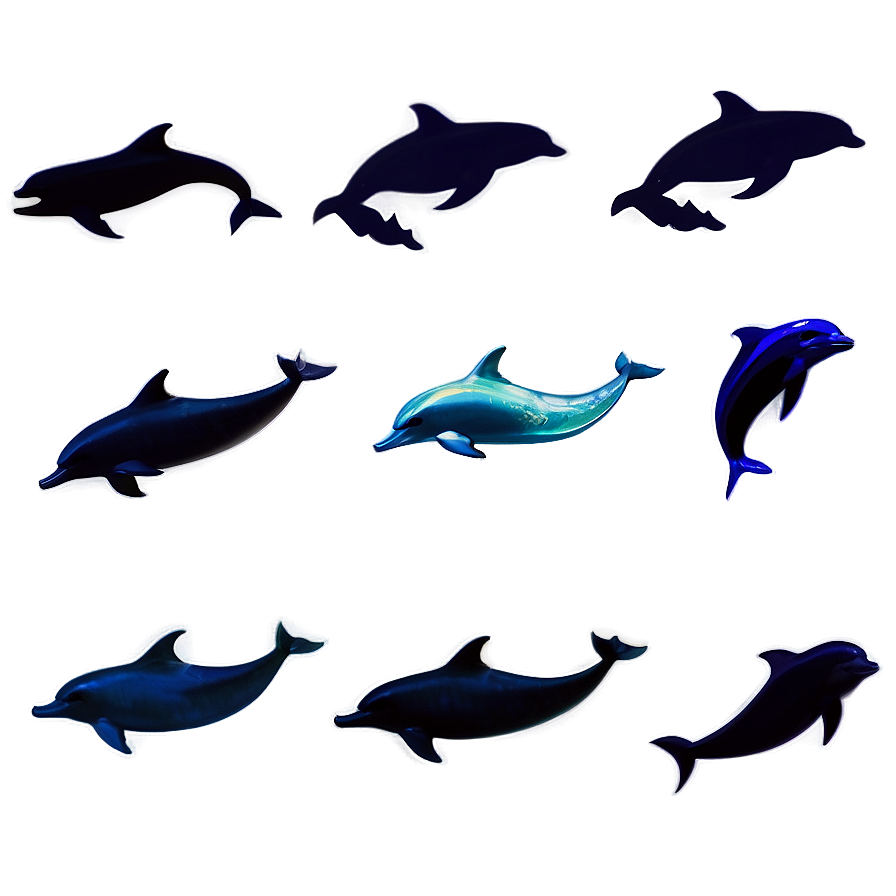 Dolphins Silhouette Png 29