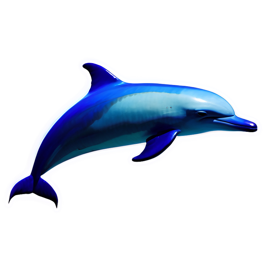 Dolphins Silhouette Png Ktg