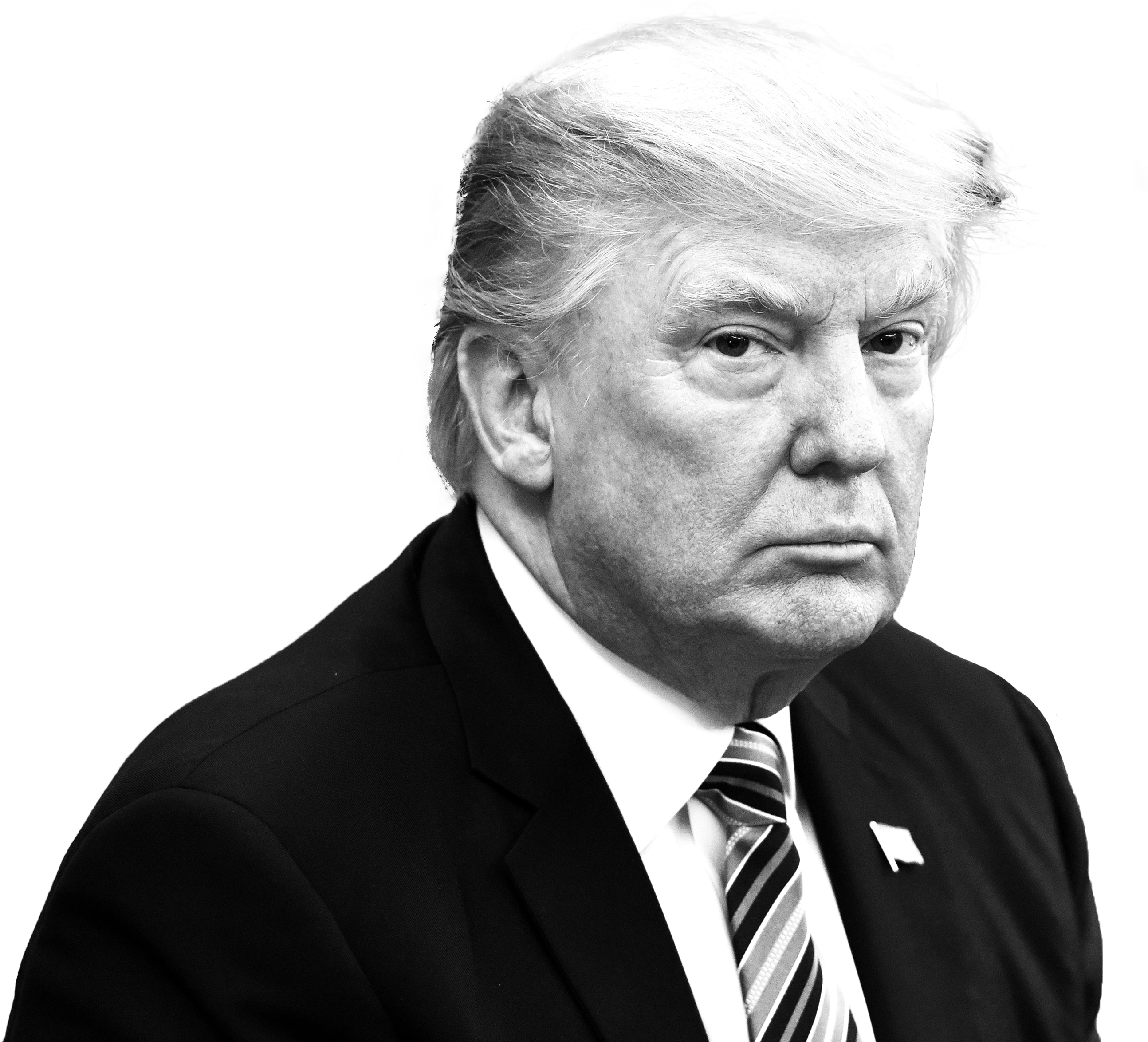 Donald Trump Portrait Blackand White