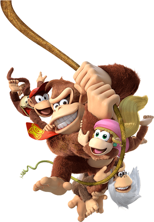 Donkey Kong Family Swinging Adventure