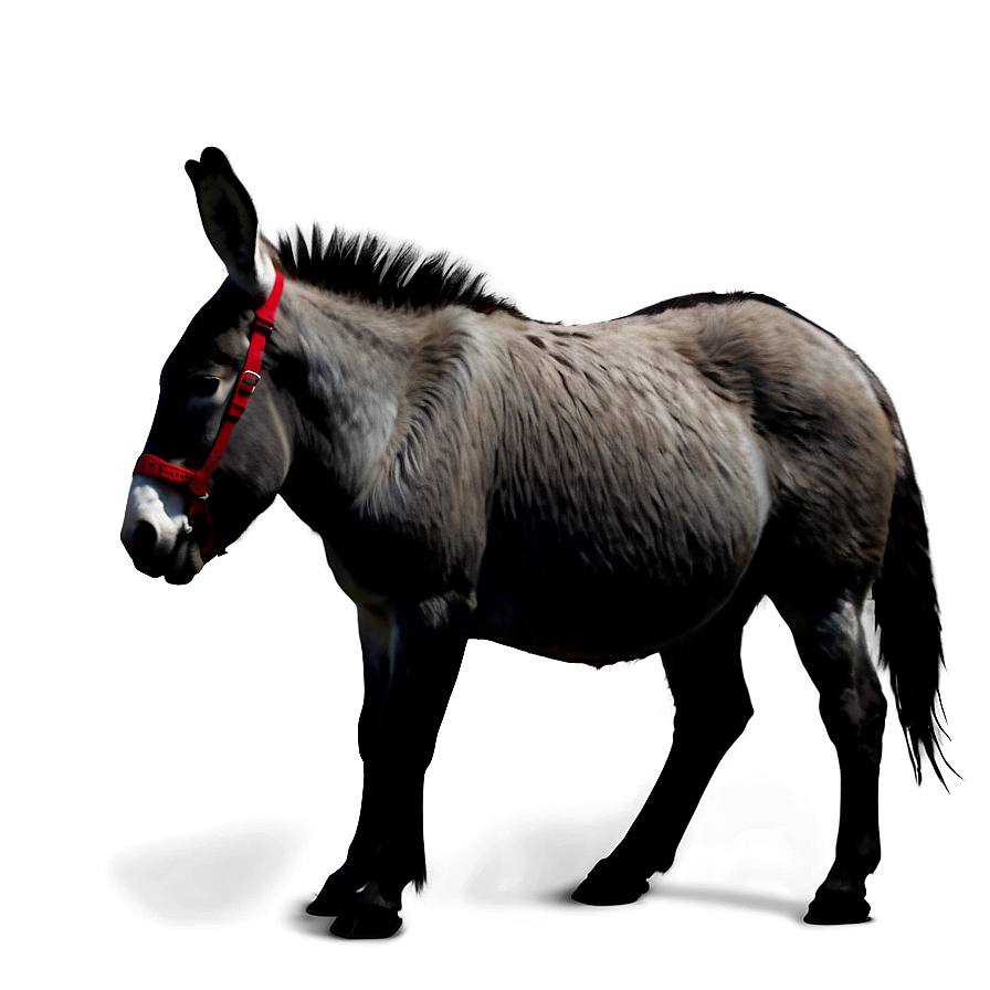 Donkey Silhouette Png Tpa4