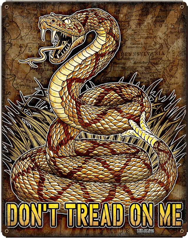 Dont Tread On Me Snake Illustration