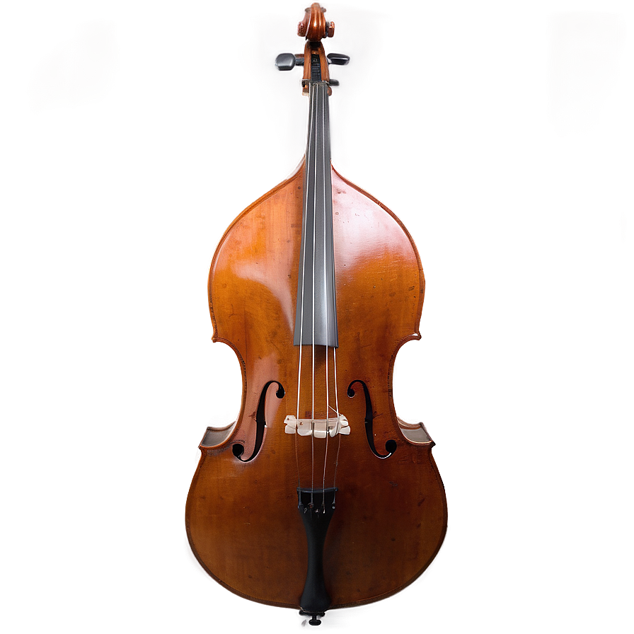 Double Bass In Orchestra Png Mcv