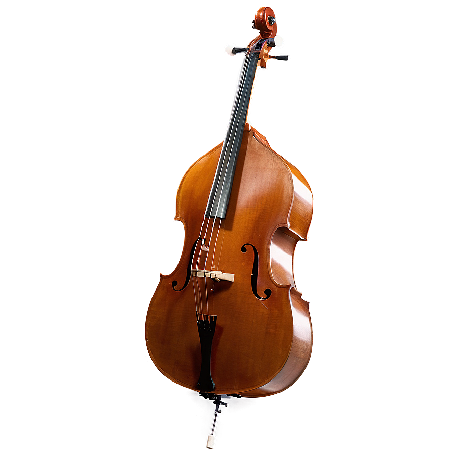 Double Bass Side View Png 06242024