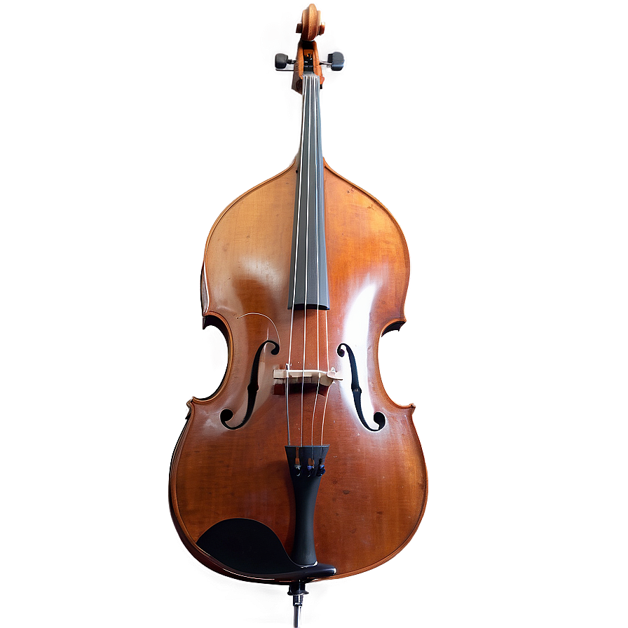 Double Bass Side View Png Fra32