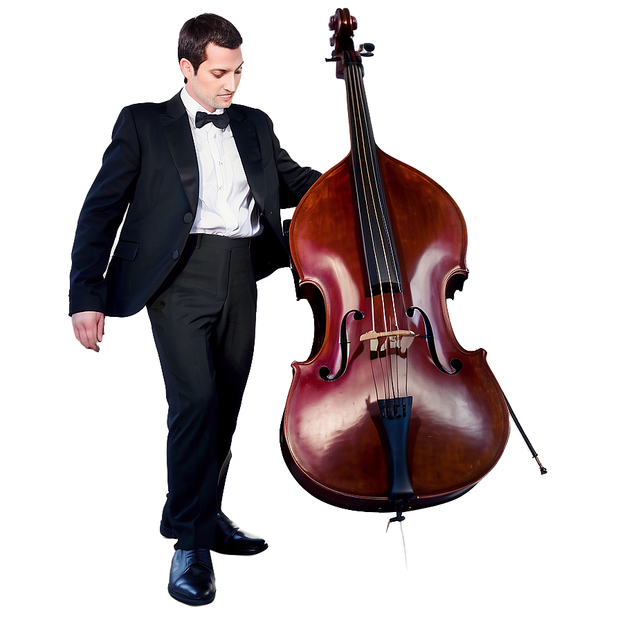 Double Bass Silhouette Player Png Frd