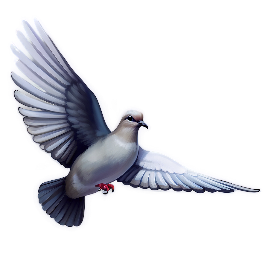 Dove Drawing Clipart Png 4