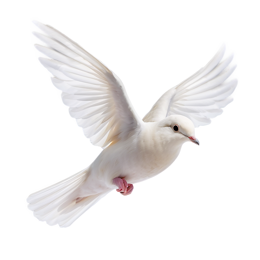 Dove In Flight Png Ieu