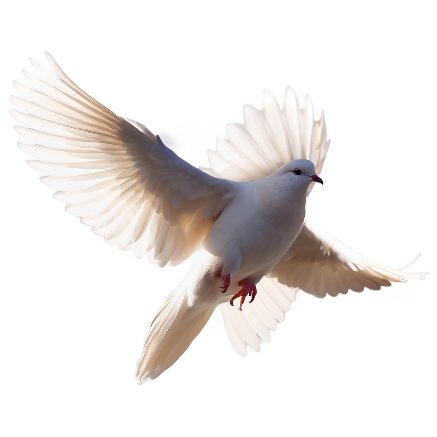 Dove Silhouette Vector Png 76