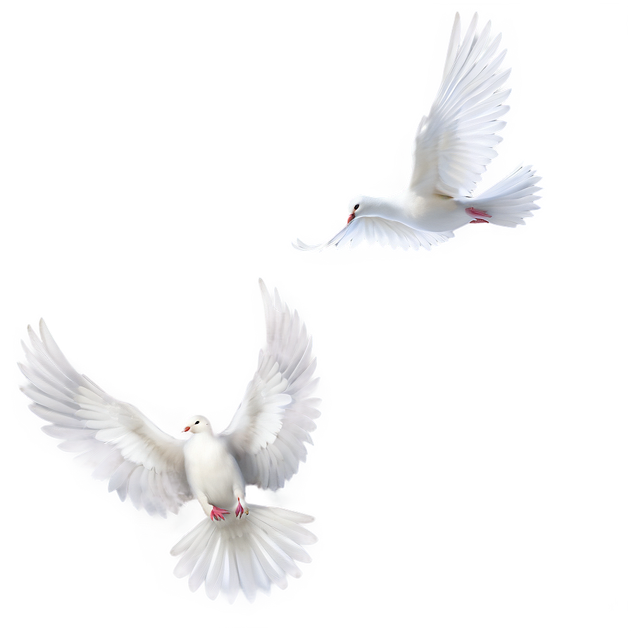 Dove Wings Png Emu28