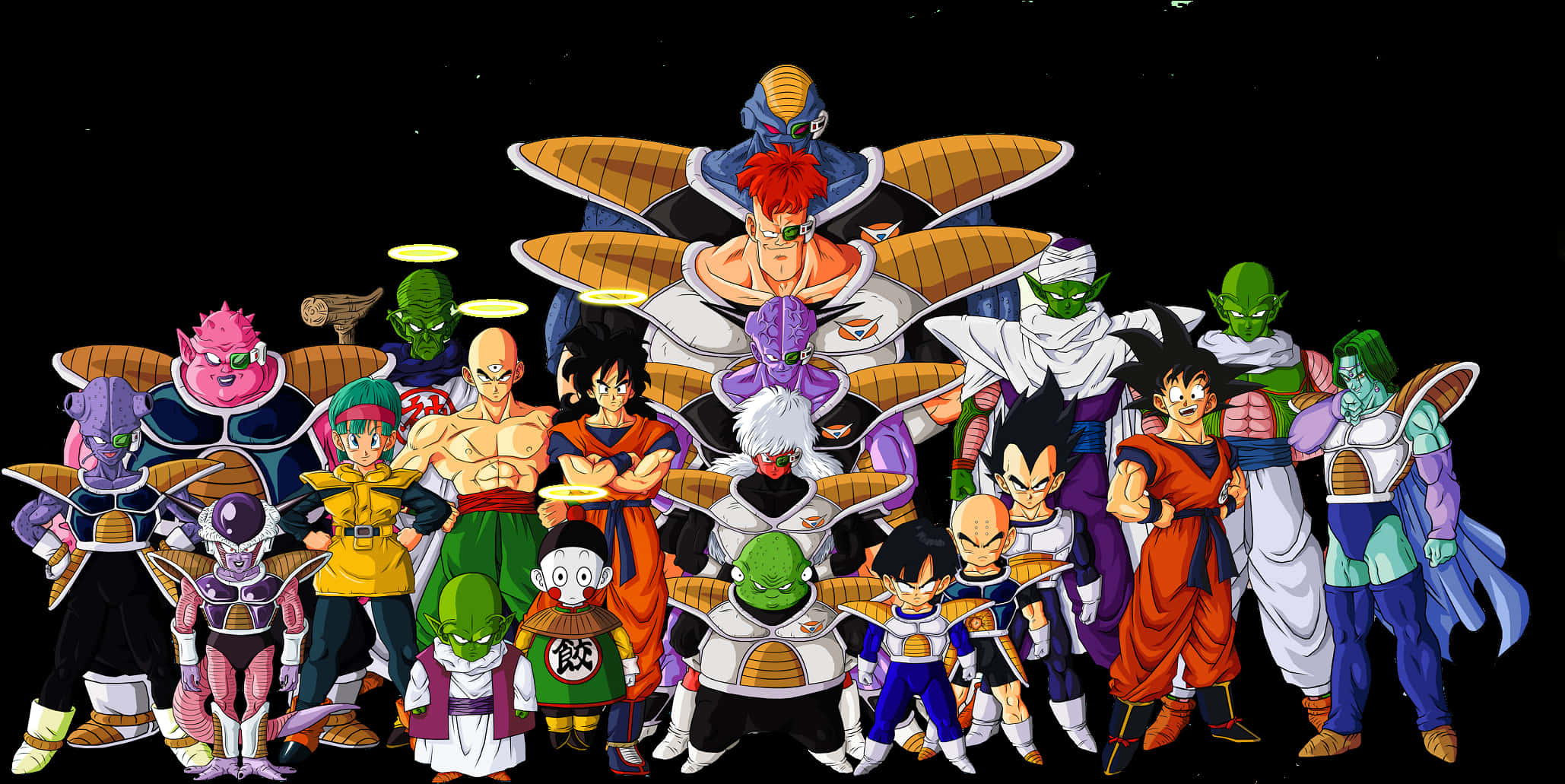 Dragon Ball Characters Gathering