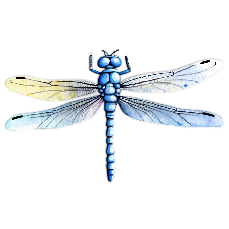 Dragonfly Watercolor Art Png 7