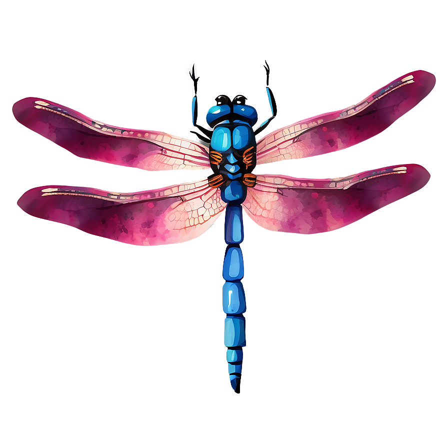 Dragonfly Watercolor Art Png 76