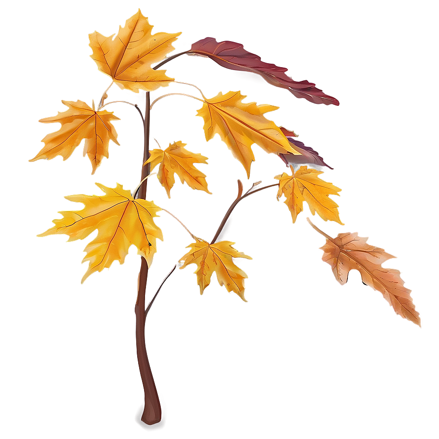 Dramatic Fall Leaf Png 05252024