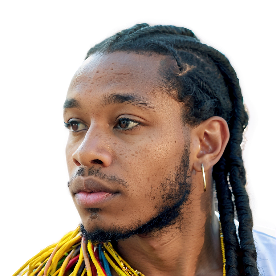 Dreadlocks Growth Journey Png Lrs