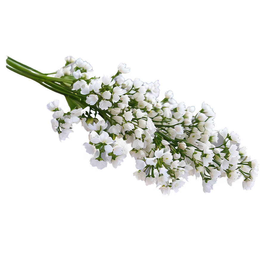 Dreamy Babys Breath Cloud Png Yov