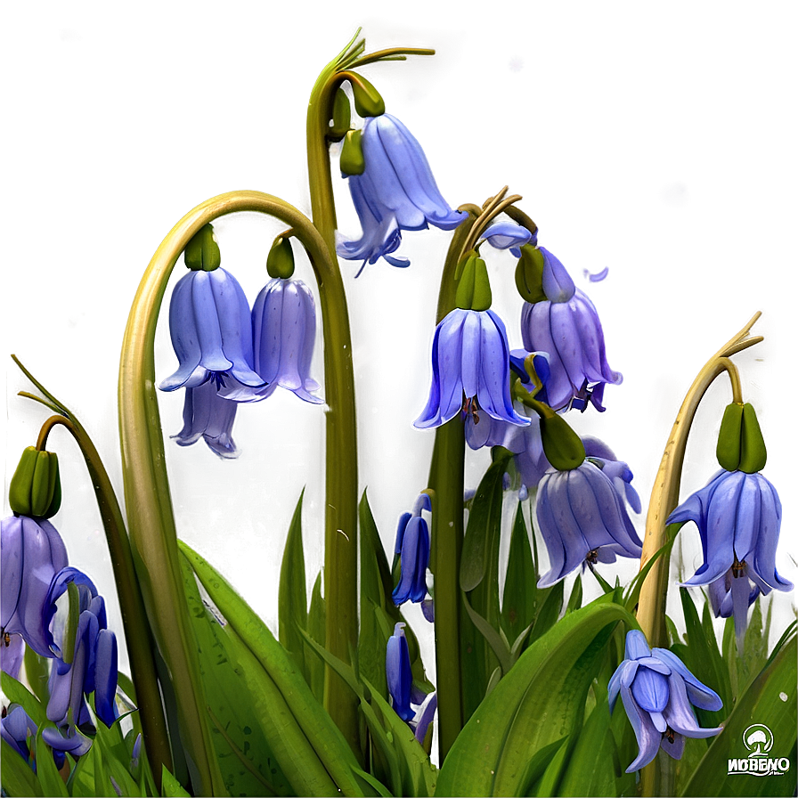 Dreamy Bluebell Png 21