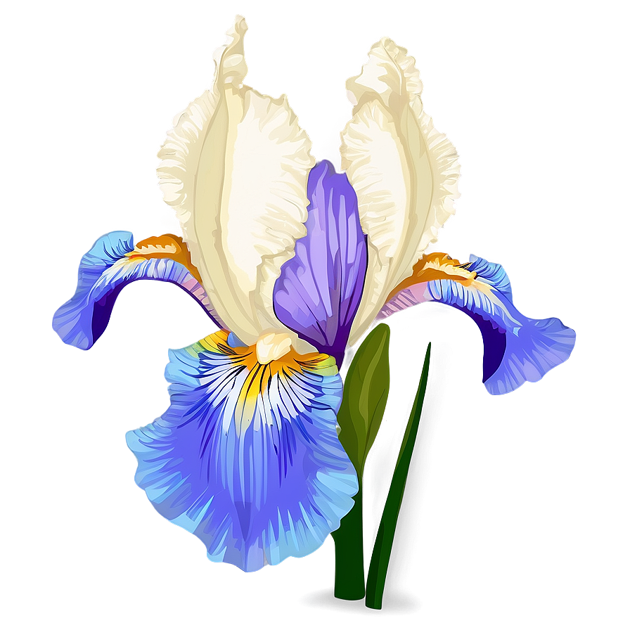 Dreamy Iris Png Eju