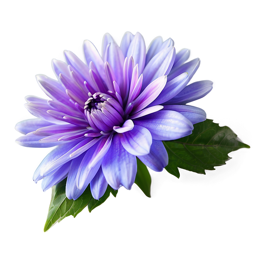 Dreamy Purple Flower Png 05242024