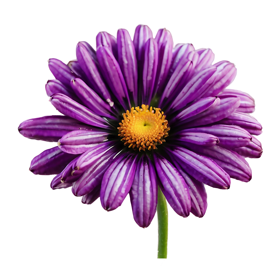 Dreamy Purple Flower Png Lqr