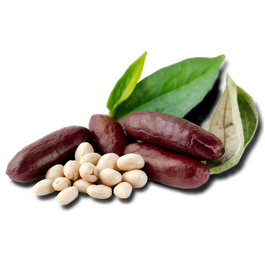 Dried Beans Png 05242024