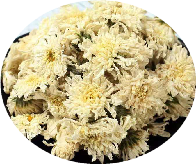 Dried Chrysanthemum Flowers